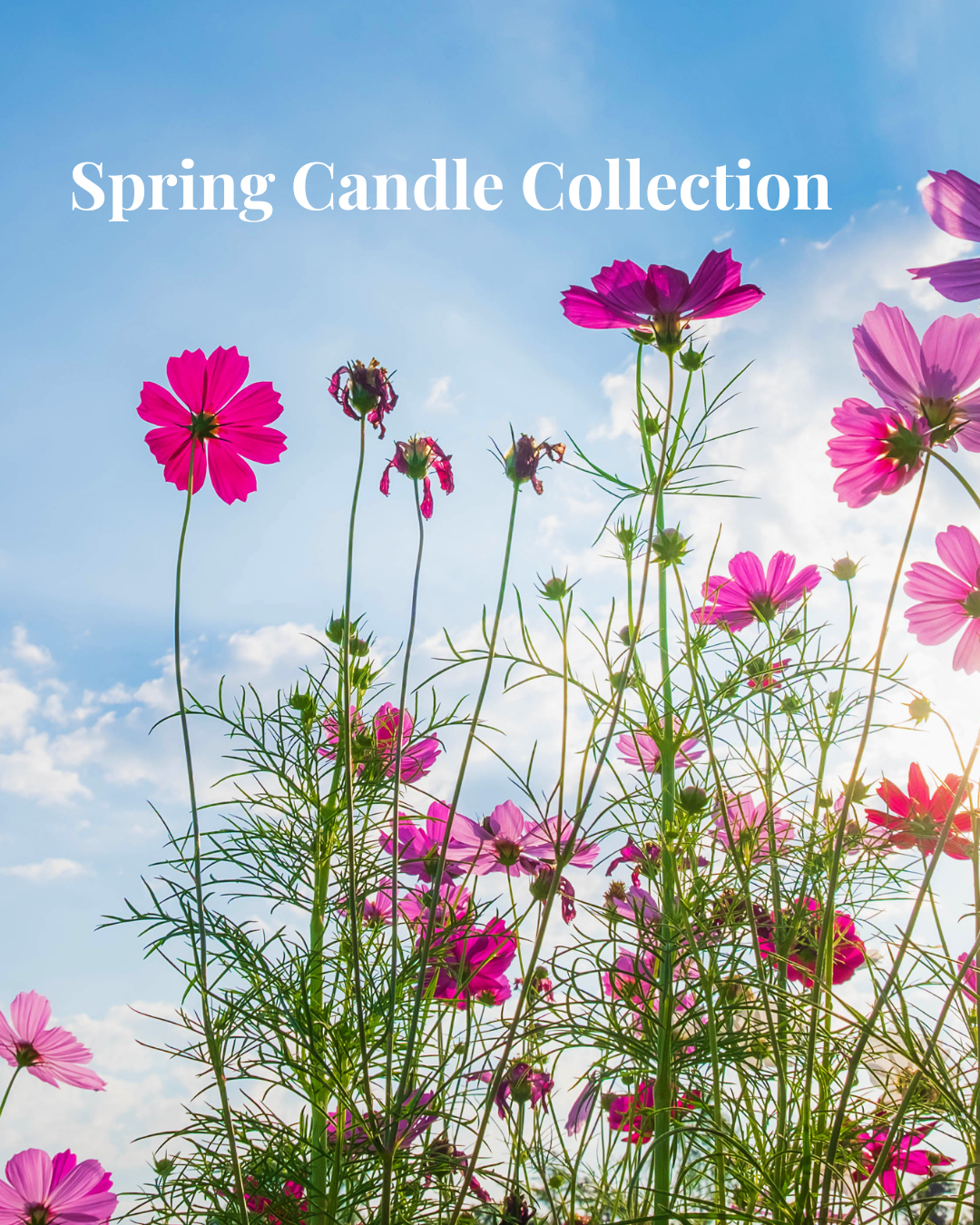 Spring Candle Collection