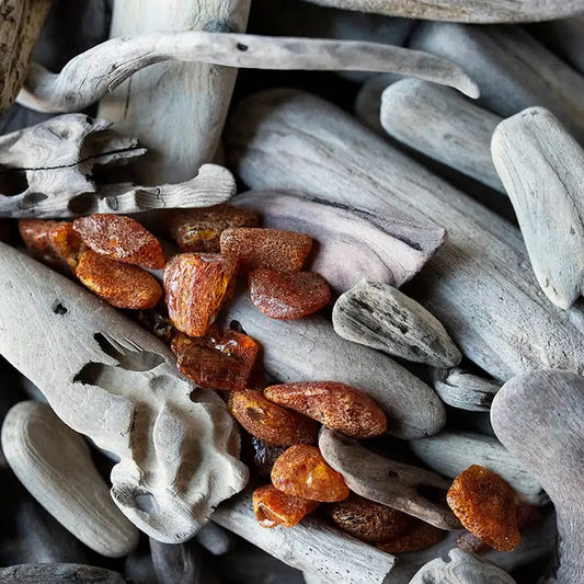 Amber & Driftwood Scented Candle