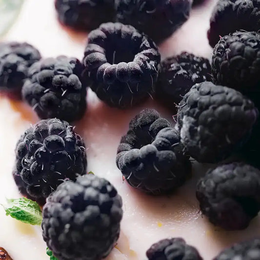 Black Raspberry Vanilla Scented Candle